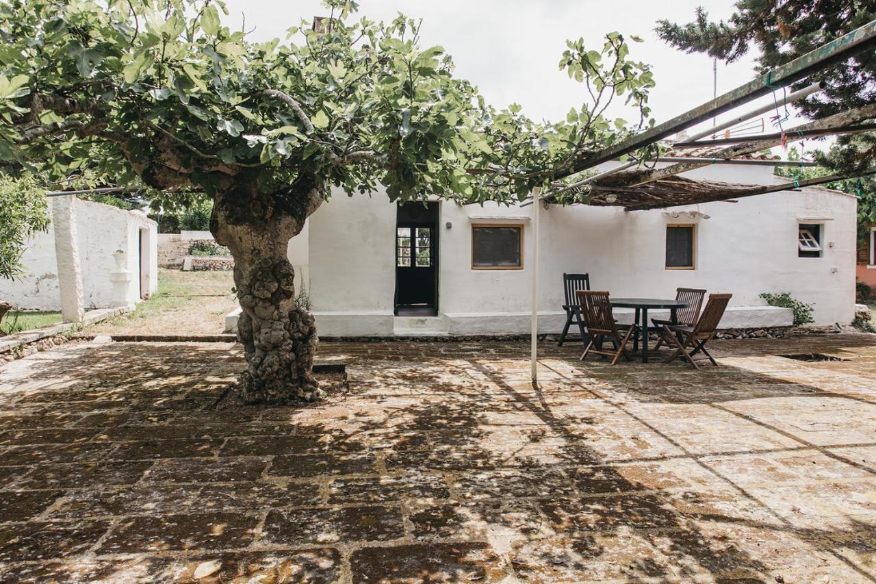 Agroturismo Son Triay Ферреріас Екстер'єр фото